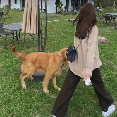 8级警报